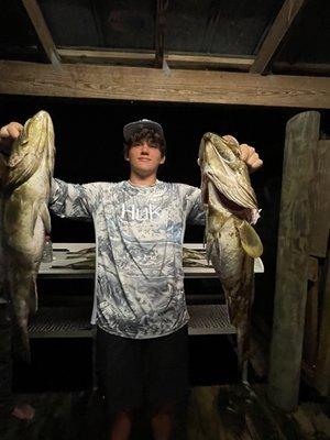 Wicked Game Spear and Line Fishing Charters