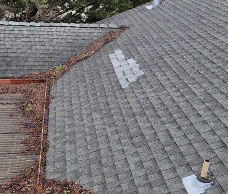 Gutter cleaning service