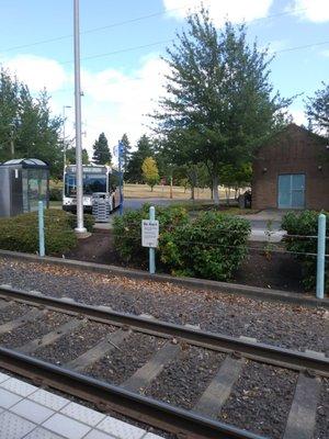 Bus 67 stopping at Merlo Road station.