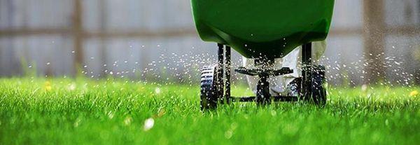 Lawn Fertilization