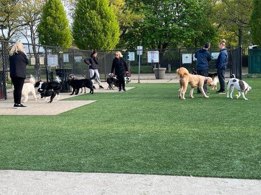 Eisenhower Dog Park