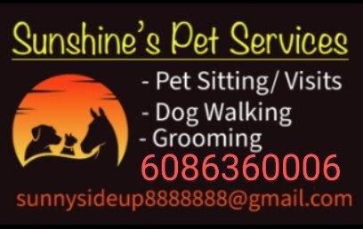 Sunshine's Pet Services