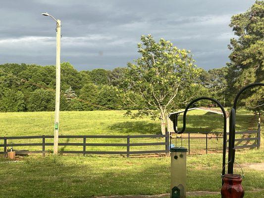 LBQ Property Management