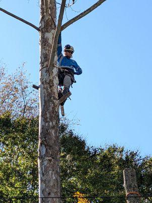 Rick's Lawn & Tree Service