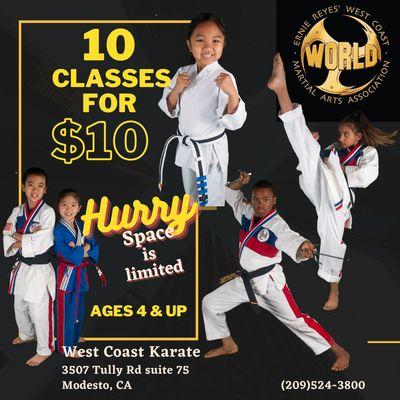 a great way to try martial arts.