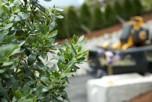 JMF Landscaping
