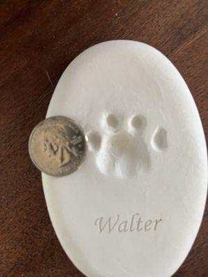 For a big tabby, a minuscule footprint. Give me a break.