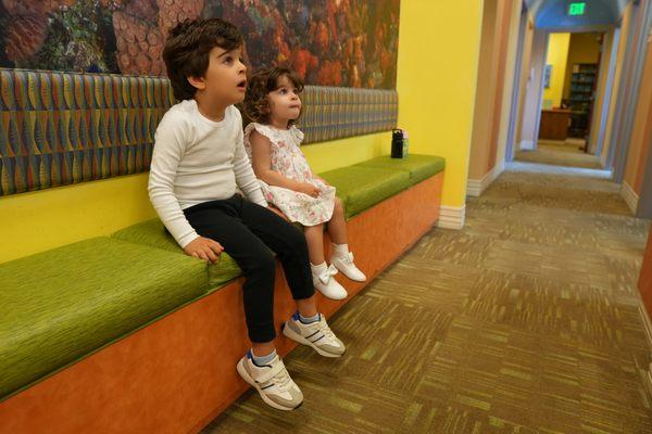 Discovery Children's Dentistry & Orthodontics