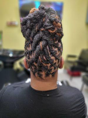 Traditional Locs
