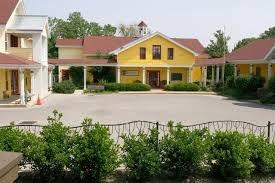 The Maria Montessori School