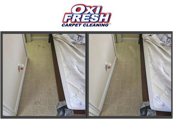 Oxi Fresh Carpet Cleaning