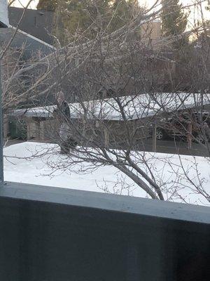 Welcome to Lakeridge where random kids play not only in the garbage cans, but on top of the car ports.