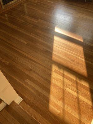 Colonial Hardwood of Lexington MA