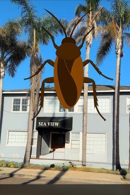 Be careful you will be scammed on your lease they are very aware of the infestation they have in every unit