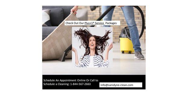 Sanidyne Cleaning and Disinfection Services