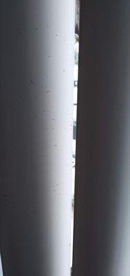 Sycamore Village Apartments