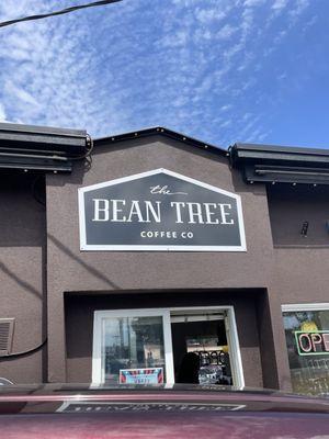 The Bean Tree