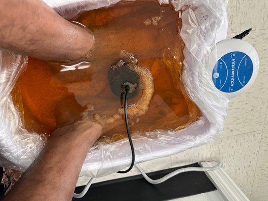 Ionic Foot Detox- After Session