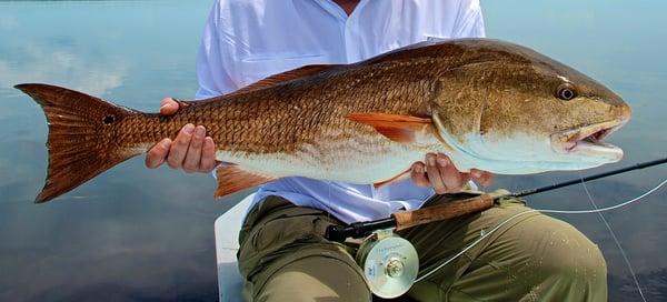 A Fishing Guide Charters