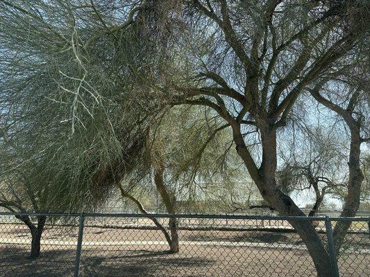 James Kreigh Dog Park