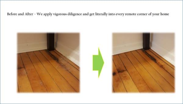 Gizmo Cleaning Company