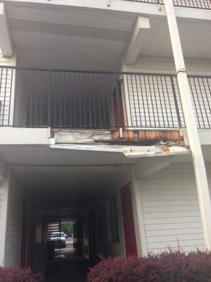 This was just a portion of the disrepair!