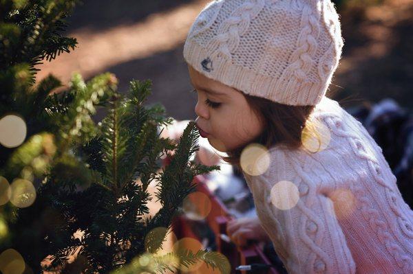 Lucent Impressions Photography