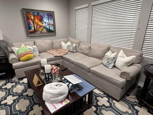 The before. Super lumpy back cushions that feathers poked out of constantly.