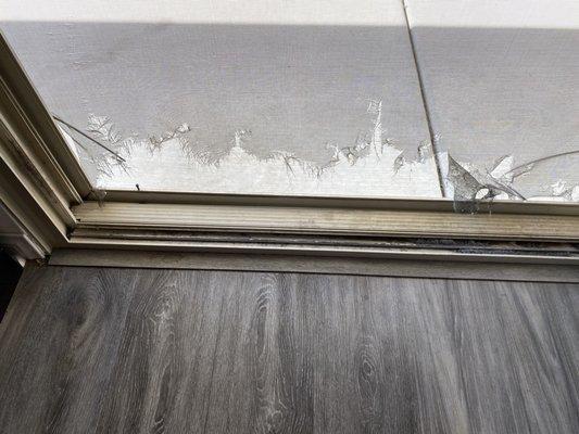 Big Mike's Window Cleaning