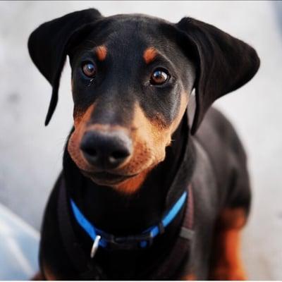 MFS Plumbing Services