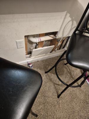 Elijah Willis Tv Mounting and Painting