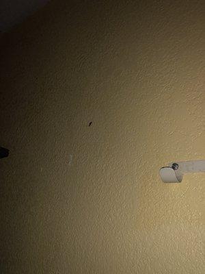 Howard Johnson Express Inn - New Brunswick