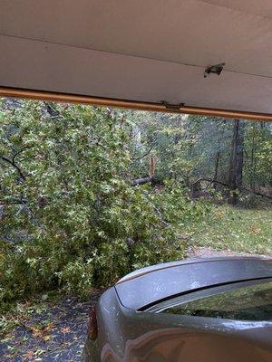 Tree down blocking driveway and garage