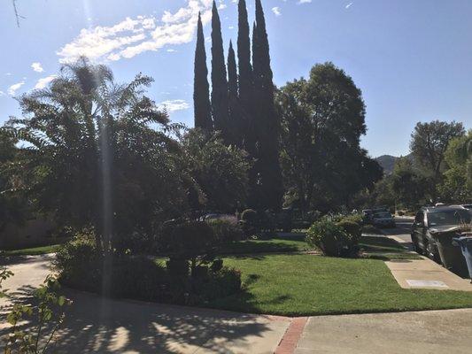 Rogers Landscape & Expert Gardening Service