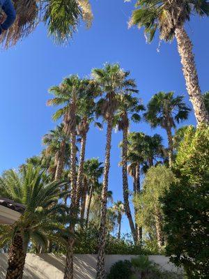 Greenview Landscape Service