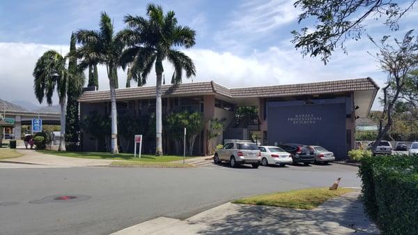 Marketing Connections