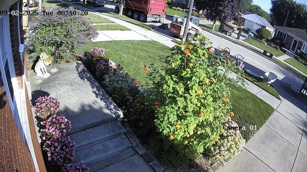 Paradigm Basement Waterproofing & Concrete
