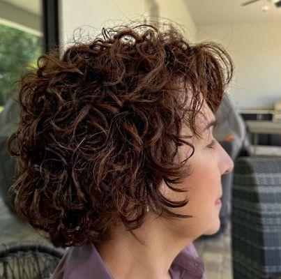 Shampoo the Salon