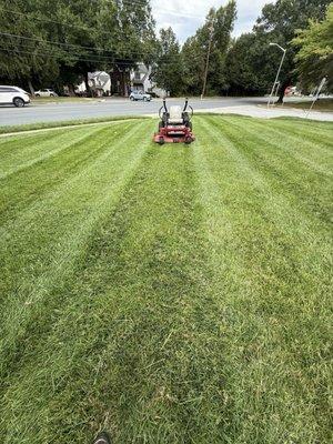 Crisp mowing lines and a clean, even cut using a commercial-grade mower. The lawn is left with a sharp, striped finish