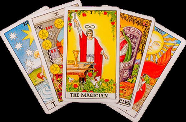 Curandera y Consejera Sasha