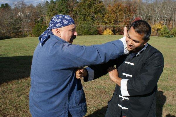 Systems Within Systems