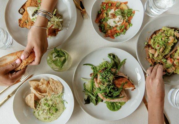 Grilled Chicken, Brie and Peas, Hummus