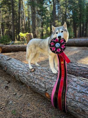 Standiford Veterinary Center