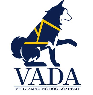 Very Amazing Dog Academy