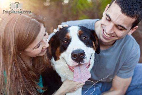 DogVacay.com - Dog Boarding Community