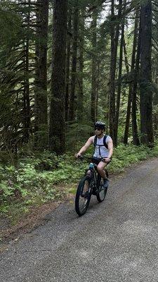 Person riding a bike on a paved road with evergreen trees behind them.