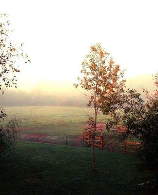 Twisted Willow Bed and Breakfast