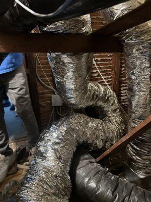 AL's 1 Extermination