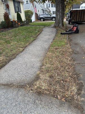 Hernandez Landscaping And Painting