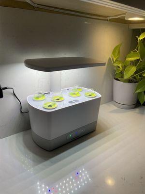 Aerogarden $90 on Amazon Better pricing at pops shop!